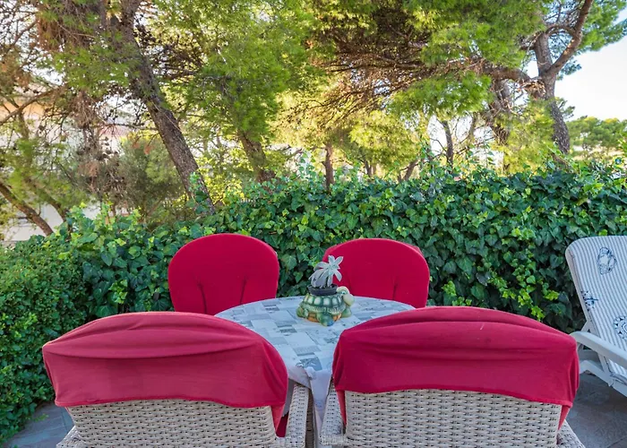 Art * 布罗达里卡