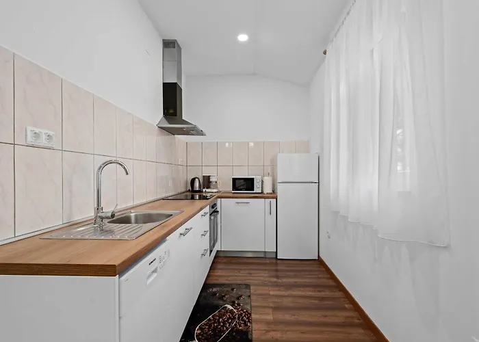 Art * 布罗达里卡